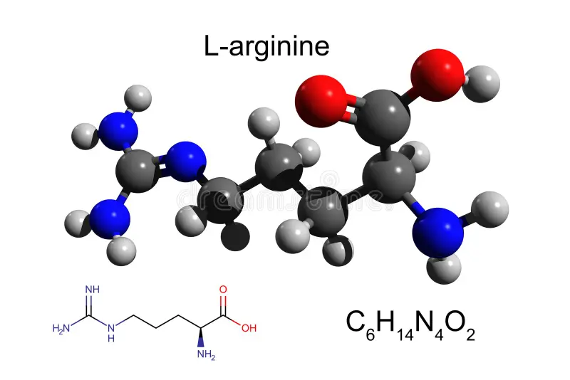 L-Arginine